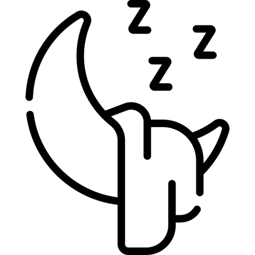 Customer image
